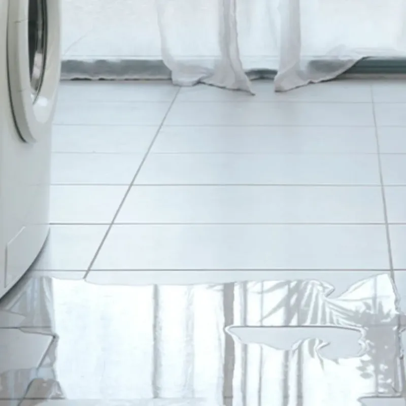 Appliance Leak Cleanup in Belleville, IL