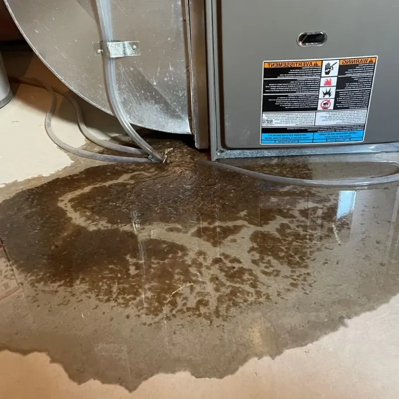 Pipe Burst and Leak Restoration in Belleville, IL
